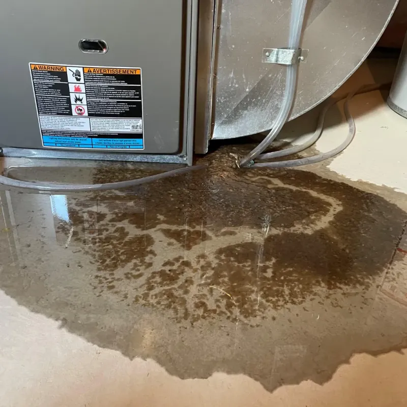 Appliance Leak Cleanup in East Hampton, NY